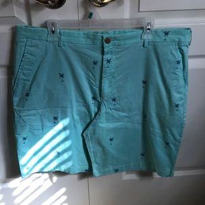 IZOD Saltwater Stretch Turquoise Shorts